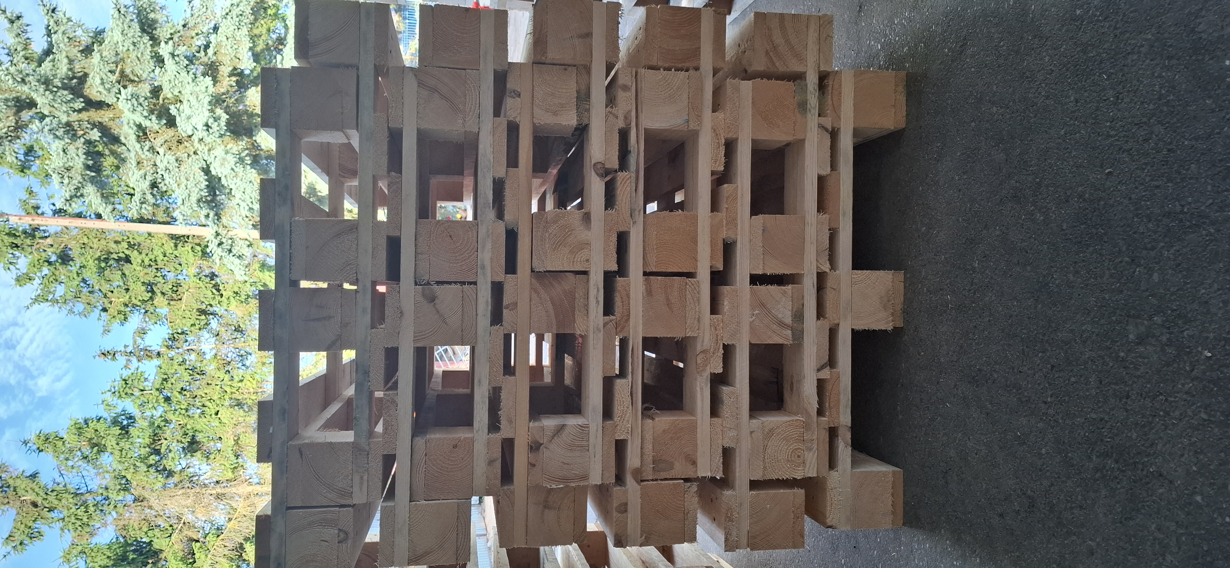 20260620_060558.jpg